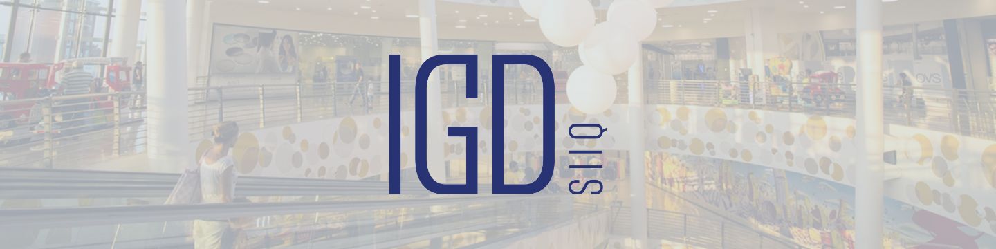 IGDlogo_websim