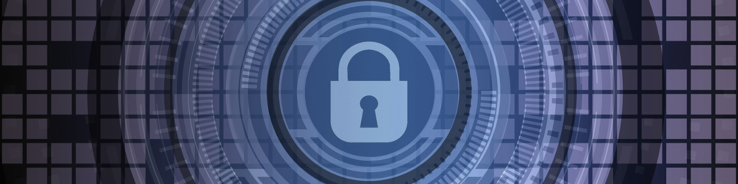 Il boom delle criptovalute_Websim