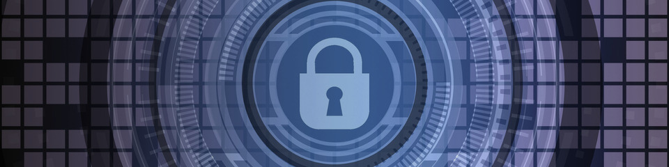 Il boom delle criptovalute_Websim