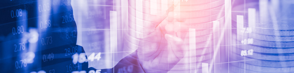 Indici_websim14 Indici_websim14