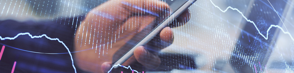 Indici_websim6 Indici_websim6