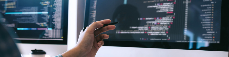 informatica_websim_3