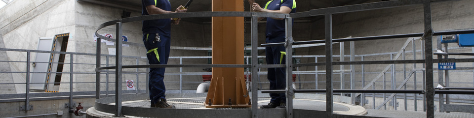 Iren_websim4 Iren_websim4