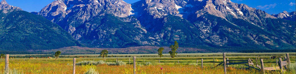 Jackson Hole