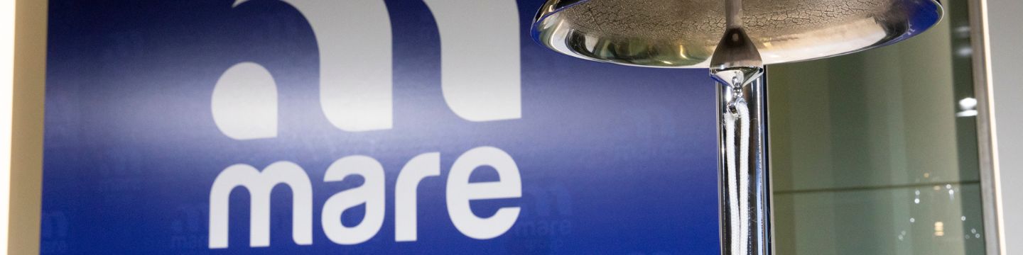 Top Management Mare Group