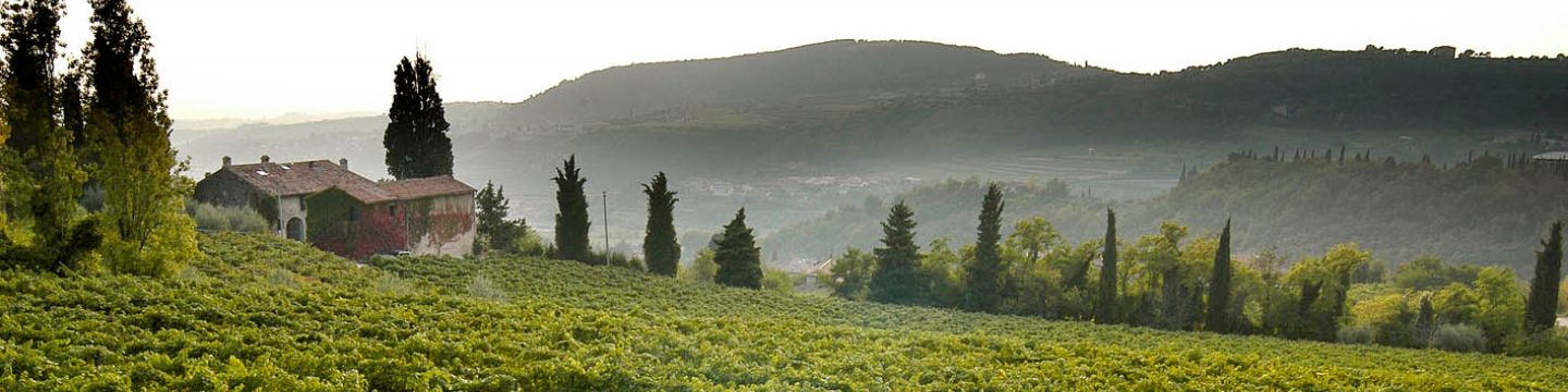 Filari Masi Agricola