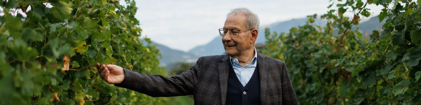 Top Management Masi Agricola