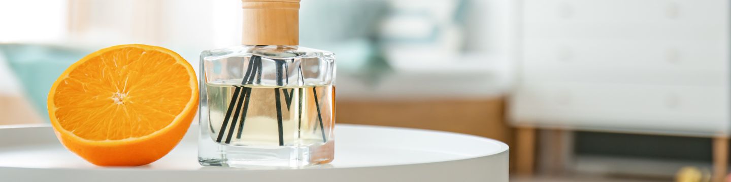 Misitano&Stracuzzi_websim4