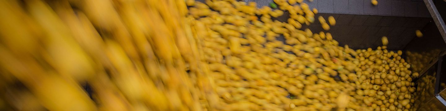 Materie prime Misitano&Stracuzzi