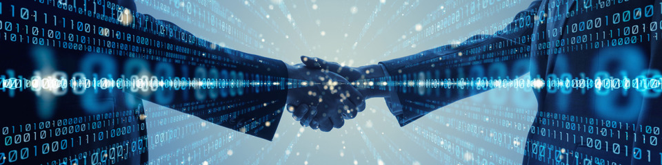 Olidata_websim2 Olidata_websim2