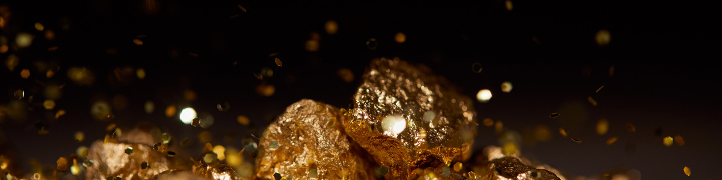 Oro_websim12 Oro_websim12