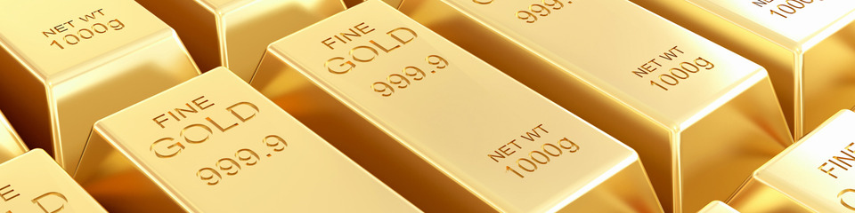 Oro_websim9 Oro_websim9