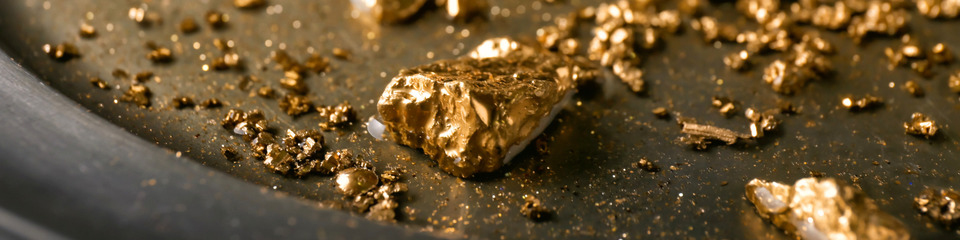 oro_websim_8 oro_websim_8