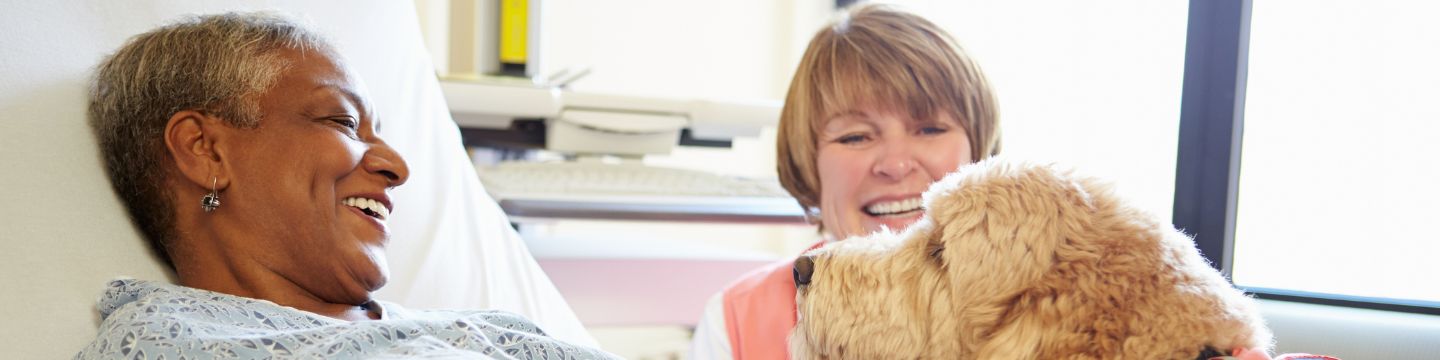 Pet economy_websim1 Coppia con cucciolo in un parco dedicato agli animali: Persone che giocano con il proprio cane in un'area verde attrezzata per a