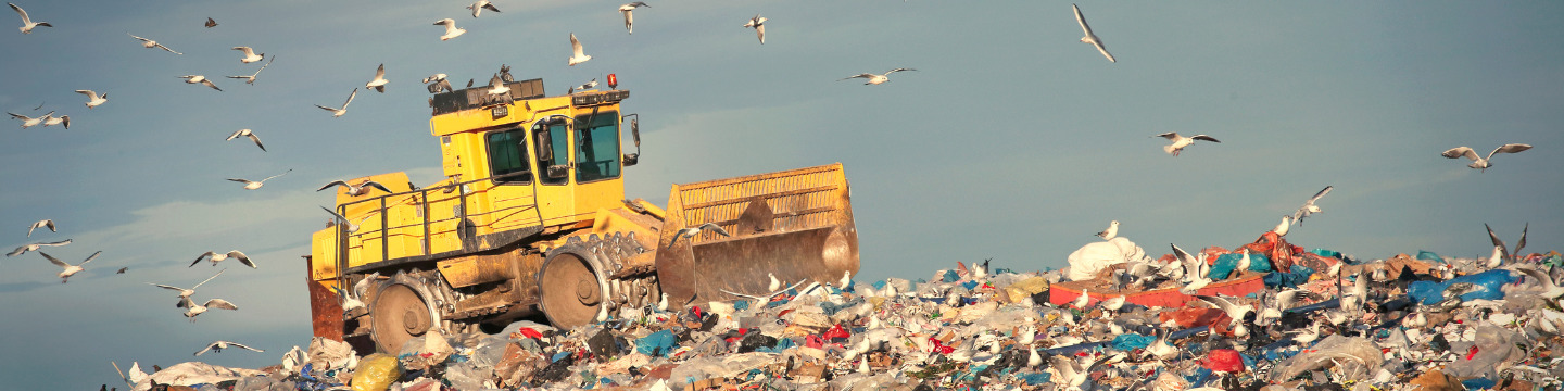 Rifiuti_websim3 Bottiglie e lattine per il riciclo: Contenitori di plastica e metallo separati per la raccolta differenziata, pronti per il rici