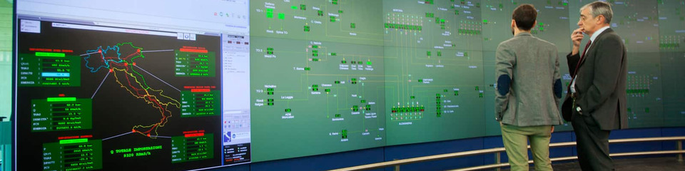 Snam_websim1 Snam_websim1