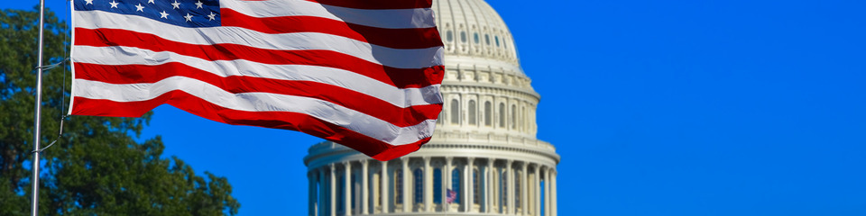 Usa_websim13 La bandiera che svetta su un grattacielo di New York, rappresentando il cuore pulsante della nazione.