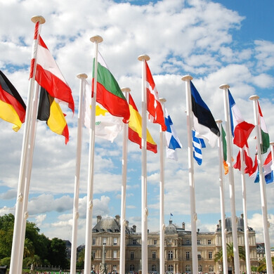 Bandiere dell'Unione europea EU Flag and the 27 European Union country flags in front of the Palais du Luxembourg (Paris) where the French Senate is located. Please see related pictures: