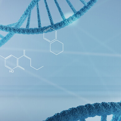 Rappresentazione della doppia elica del DNA