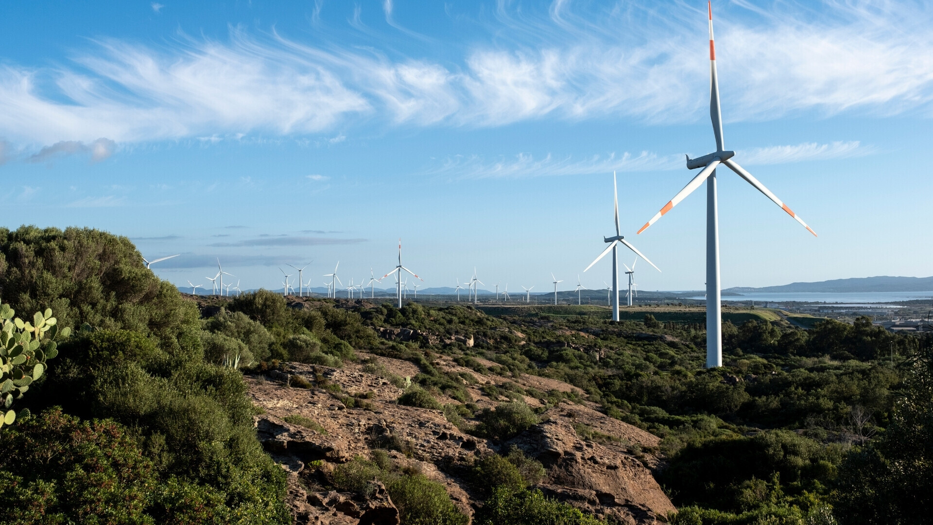 Energie rinnovabili enel Parco eolico in paesaggio verdeggiante