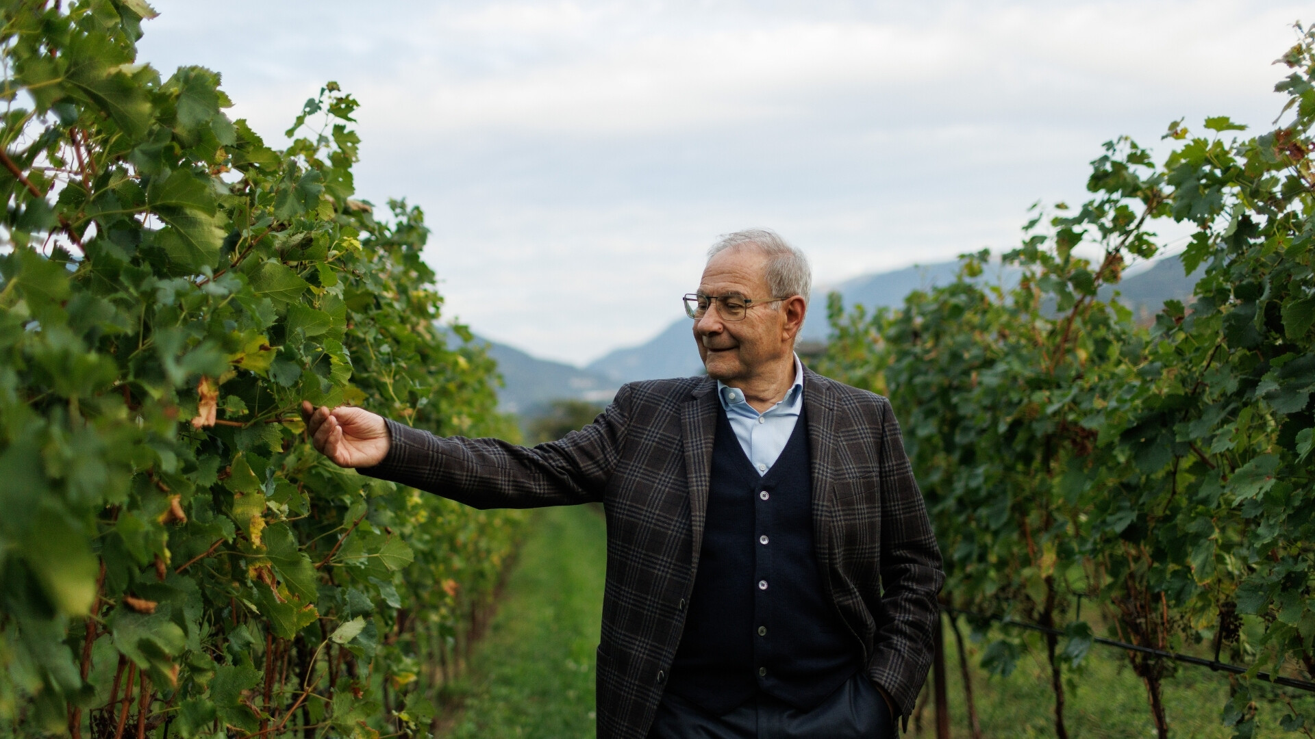 Sandro Boscaini, presidente di Masi Agricola tra i filari Sandro Boscaini passeggia tra i vigneti di Masi Agricola.