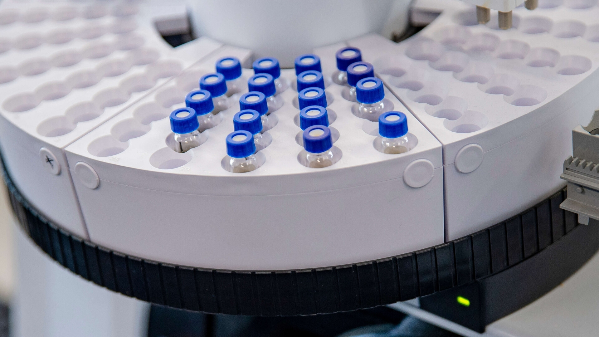 Misitano & Stracuzzi Provette Provette contenenti campioni nei laboratori di Misitano & Stracuzzi, con focus scientifico.