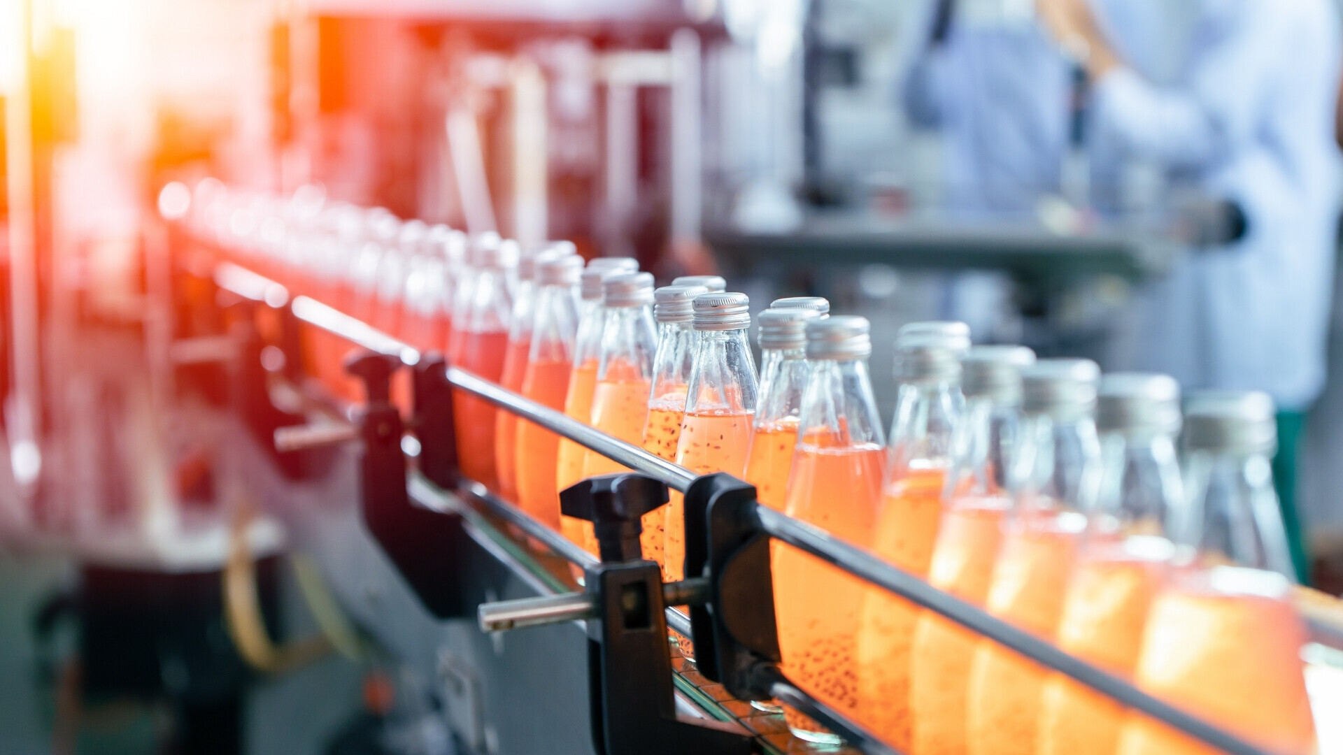 Bottiglie durante il processo di imbottigliamento industriale