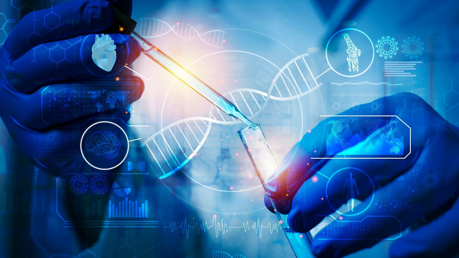 Immagine simbolica dell’attività di un biologo