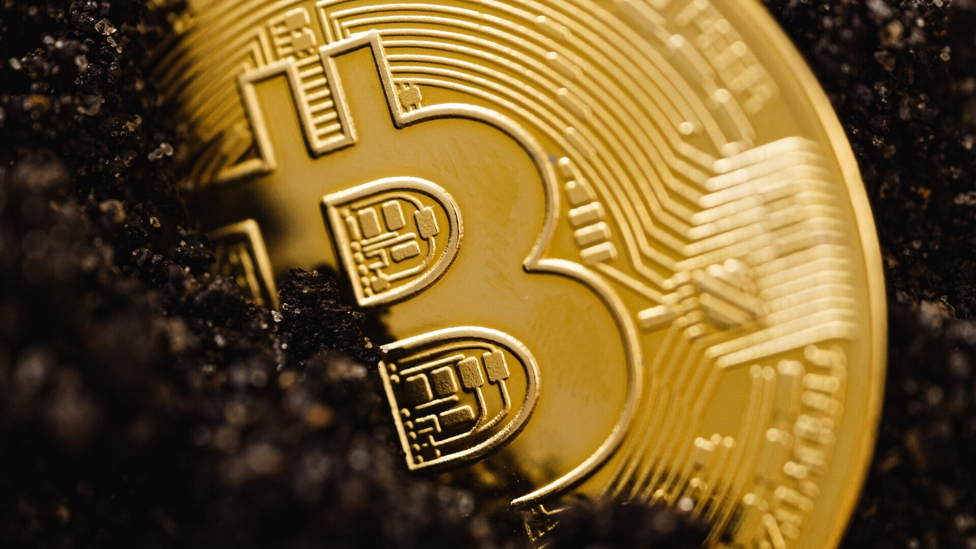 Moneta di bitcoin in primo piano nascosta per metà Bitcoin in primo piano parzialmente in ombra