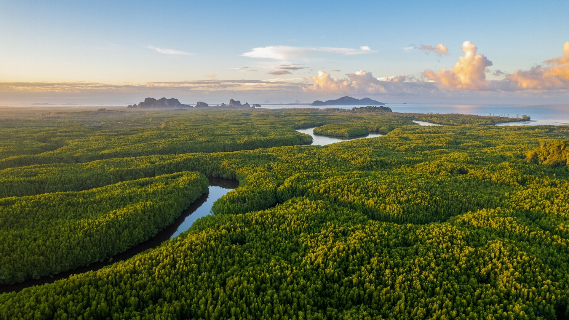 Vista aerea sud della Tailandia Vista aerea della proviancia di Trang, sud della Tailandia