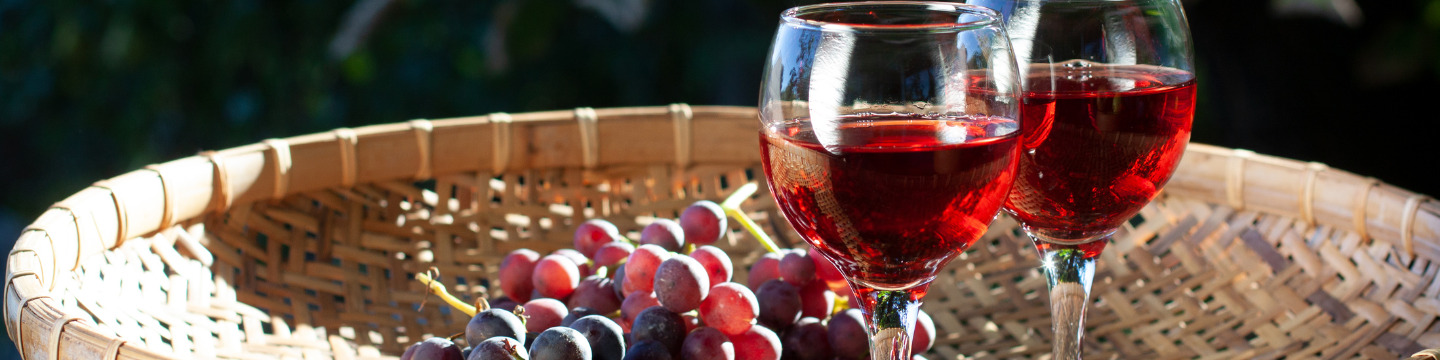 Riflessi rubino in un calice di vino rosso, su sfondo scuro