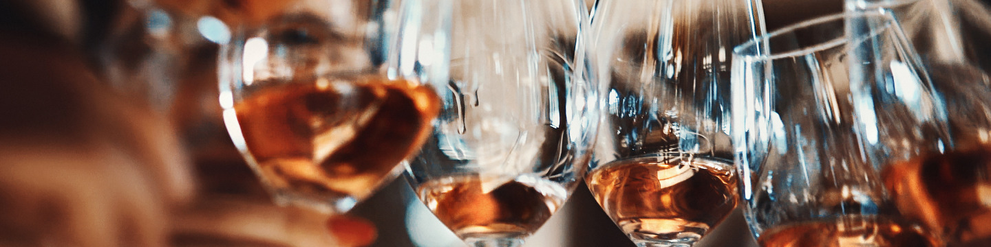 Vino_websim5 Vino_websim5