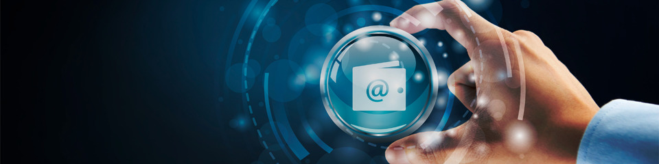 Wallet digitali_criptovalute