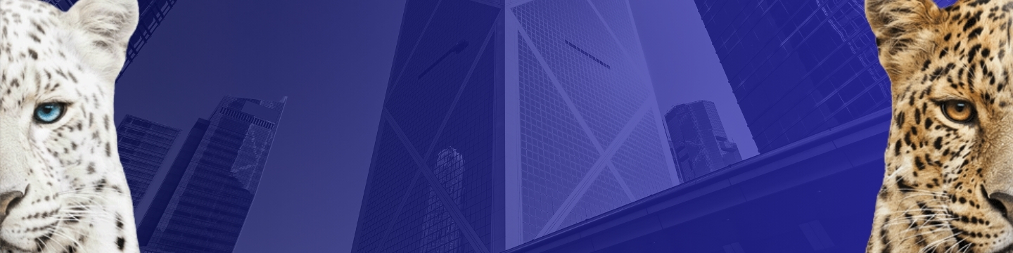 Websim by Intermonte_bond Barclays