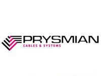 ba9b1c117a844a0fb6e5fb2f36fc19b9